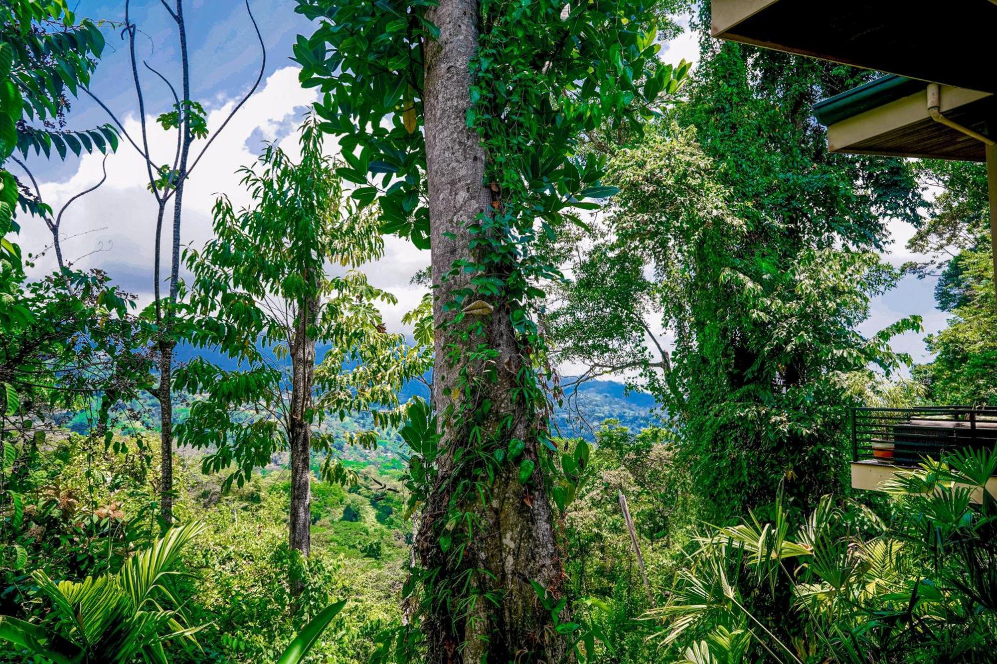 Casa Vista Verde Uvita Buitenkant foto