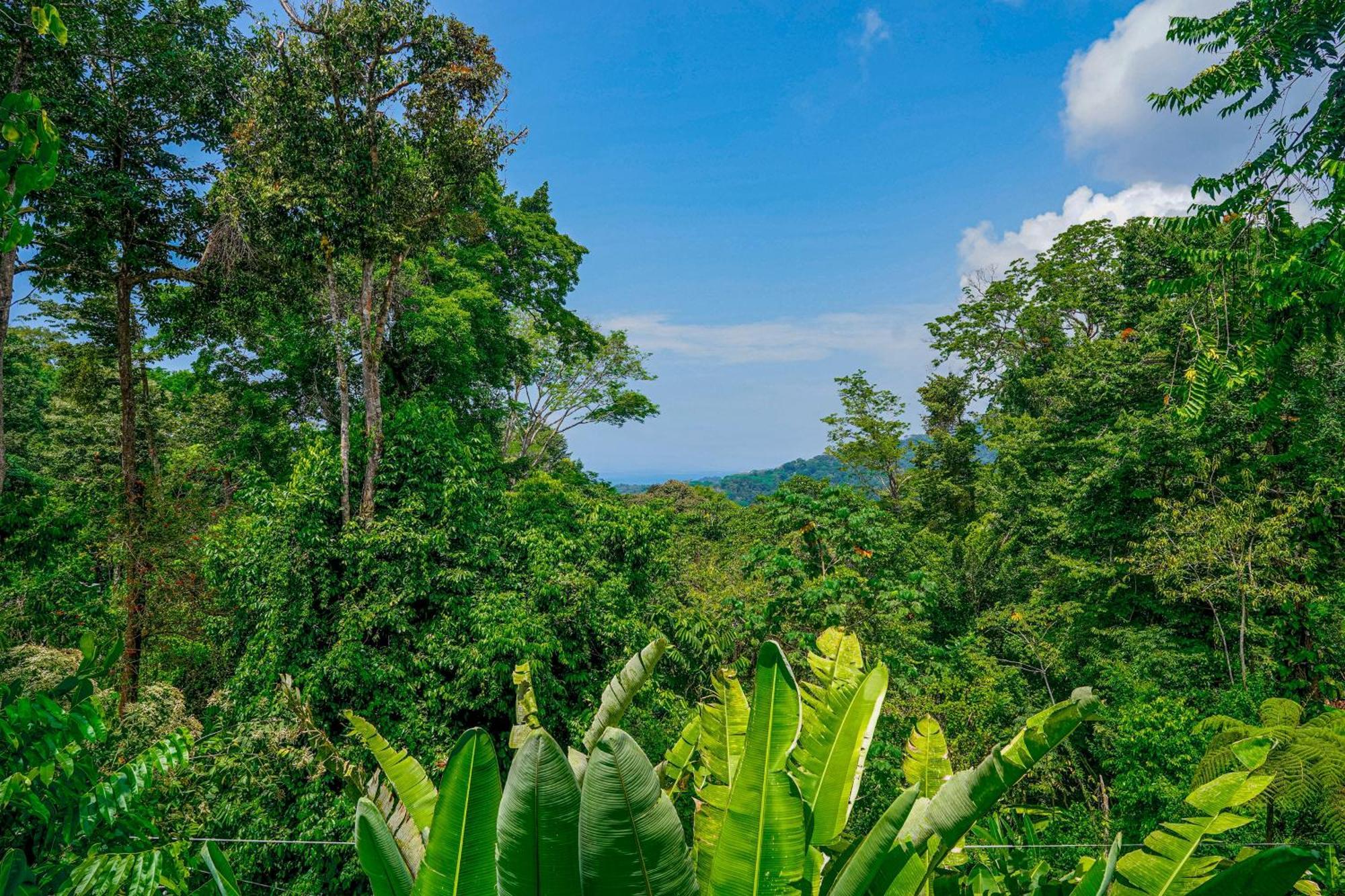 Casa Vista Verde Uvita Buitenkant foto